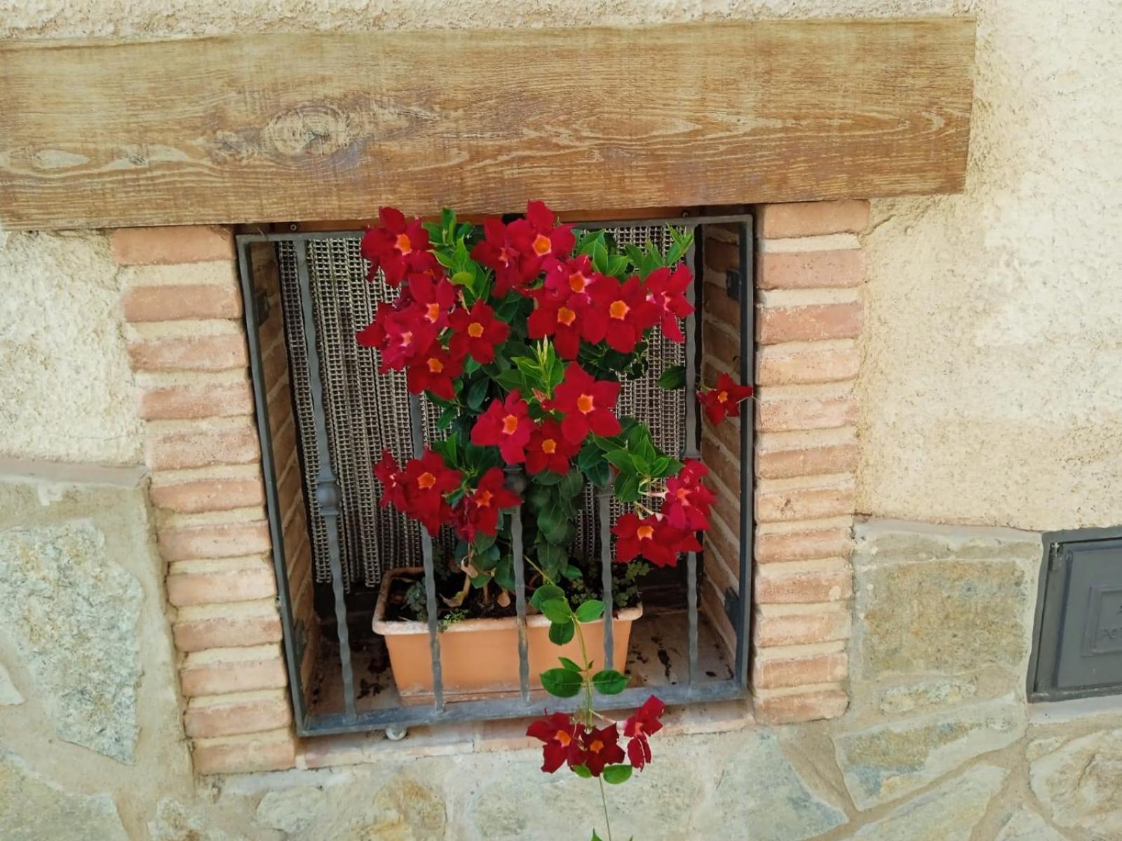 Apartament Cal Tom *